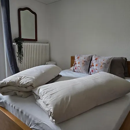 Проживання в сім'ї Eco *